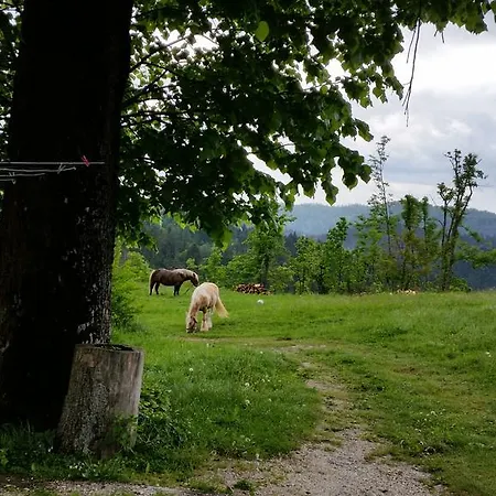 Gostilna Stara Posta Podkraj